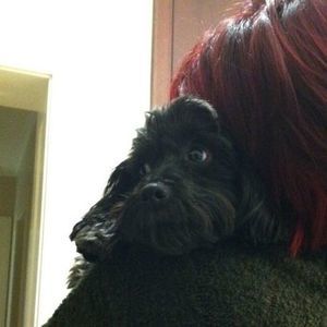 Meet your Posher, Lina